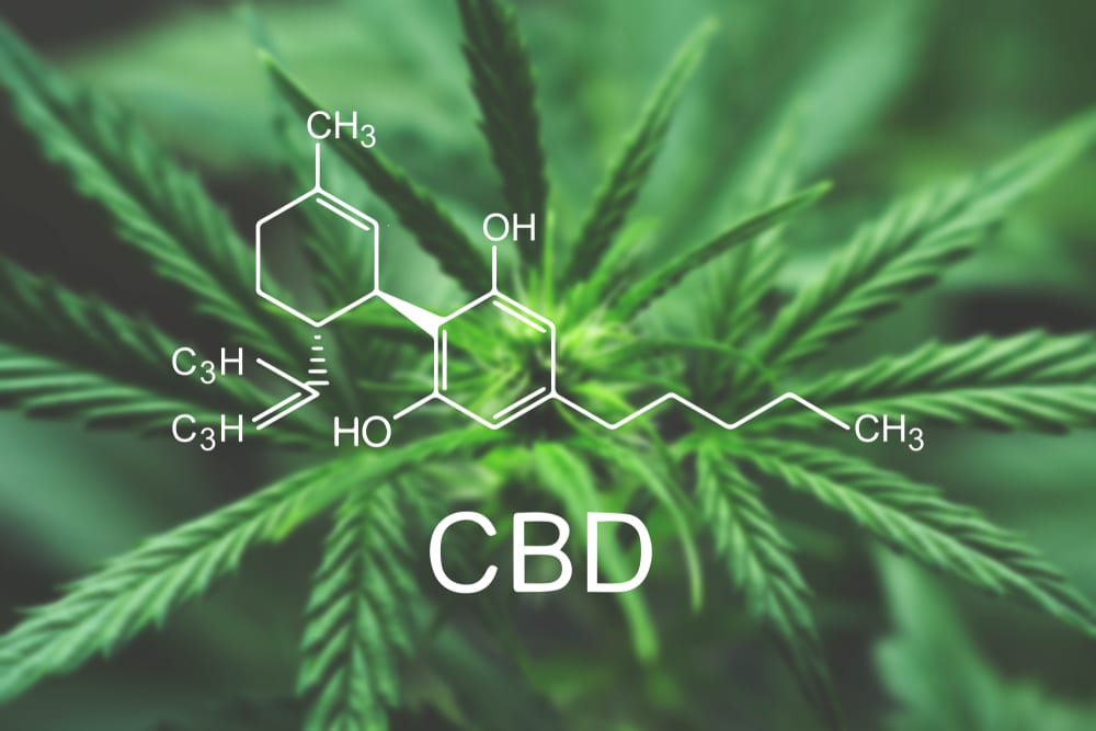 European Commission calls for data on CBD safety