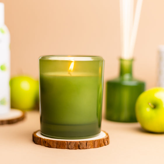 Pier 1 Apple Mint 8oz Boxed Soy Candle