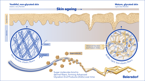 Beiersdorf Unveils Breakthrough Anti-Aging Ingredient ‘Glycostop™’ in Fight Against Sugar-Induced Skin Aging